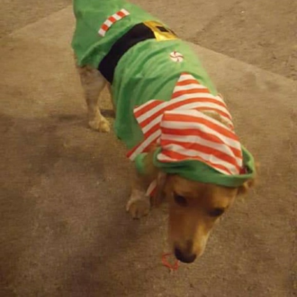 Meet your Posher, Jenne - Picture 1 of 1